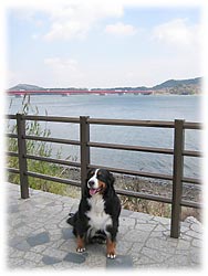 �u�L�O�B�e���ł��`�B�v