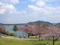 �J������Đ󂪌����Ă�����B