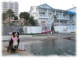 �u�l�����C���������`�B�v