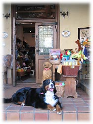 ������������Ł[���I