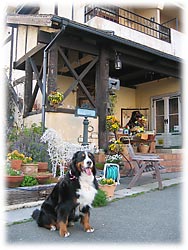 ���͂���������ς���