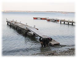 �u��H��������̂��ȁE�E�E�B�v