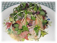 �}���l���̃T���_