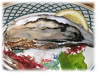 �Ղ���Ƃ����H���̃J�L