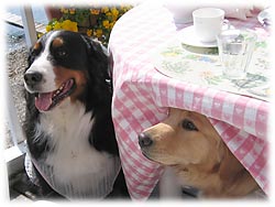 �u�n�C�W�����A�����������ȓ������Ă���ˁB�v