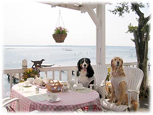 �f�G�Ȓ��̎n�܂�B