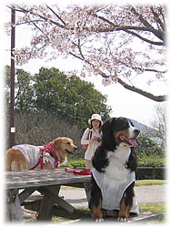 ���A�E�g�E�g�����Ⴄ��B