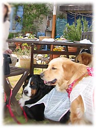 �u���낻��o�Ԃ�����`�B�v