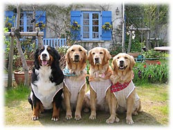 �΂Ƃ��ԂɈ͂܂ꂽ����ŁB