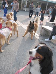 �u���F�B�������ς���������