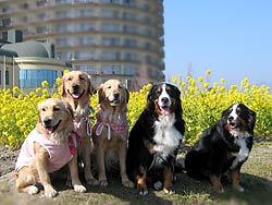 �݂�Ȓ��ǂ�