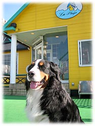 �e���X�ŁB