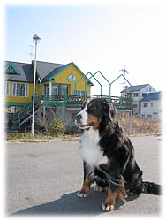 �Ί݂���v���[�W����]�ނ΁[�Ɂ[