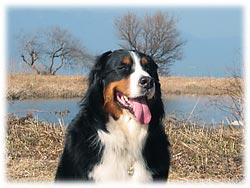 �܂Ԃ�����̂΁[�Ɂ[