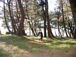 ���@���΁[�Ɂ[