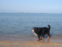 �C����������̂΁[�Ɂ[