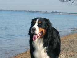 ���ꂵ����̂΁[�Ɂ[