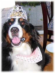 �W�΂̂��a�������߂łƂ��I