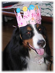 ���a�����΁[�Ɂ[