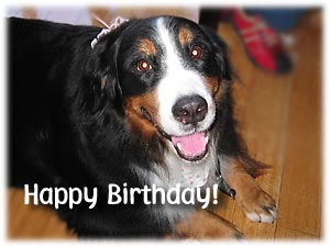 �΁[�Ɂ[�A�W�΂ɂȂ�܂����I