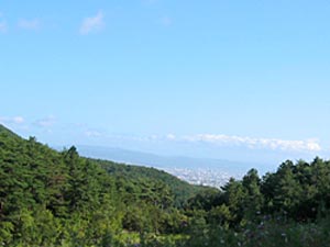 ���s�s����]��