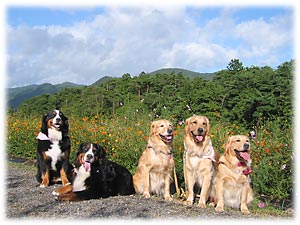 �݂�ȂƋL�O�ʐ^