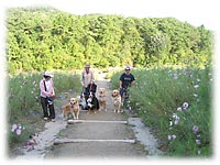 �R�X���X�������U��