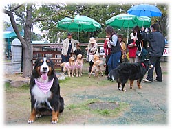 �����A����΂邼�I