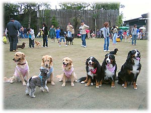 �^����W���ʐ^