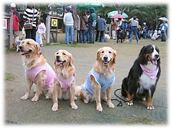 ����΂����ˁB