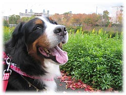 ���ꂩ��B�e�Ł[���I����΂�܁[���I