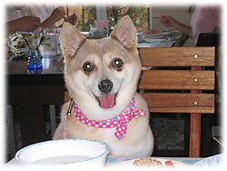 �T�����Ί�ł���΂�܁[���I