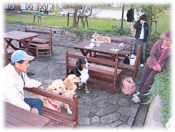 �����̋C���ŃE�L�E�L����I