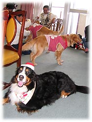 �y���񂾂�B