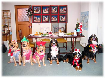 �N���X�}�X�̋L�O�ʐ^