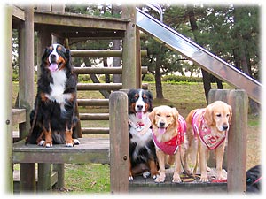 ���U�����y�����ˁB