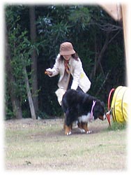 �w�g���l���x