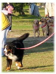 �Ȃ��������ł͂͂��Ⴂ����I