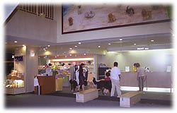 �P�e���r�[�͂�񂱓V��