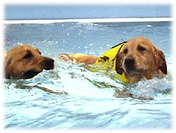 エリーちゃんもスイスイ〜!