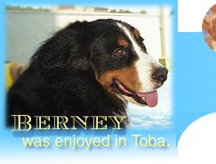 �΁[�Ɂ[�w2004�@���H���s�x