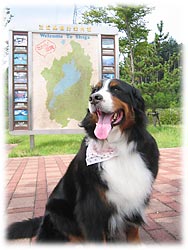 �u����P.A�ɒ����܂����B�������V�C�ł��B�v