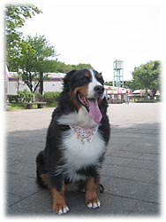 �u�����`�I�݂�ȂƂ��o�����y�����ˁB�v