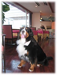 ���X�g�����ɓ����`�I