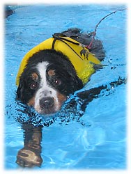 音ちゃん、初泳ぎ!