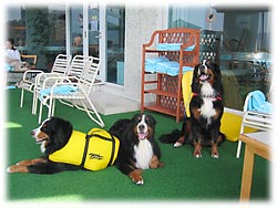 くつろぎタイム・・・。