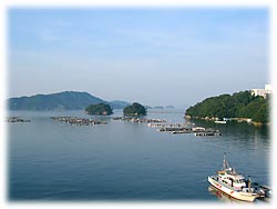 �u���������猩����i�F�͍ō��ł��I�v