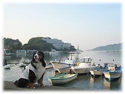 �z�e���C���֏o��Ƃ����͊C�I