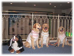 �z�e���Q�e�̃��r�[�ŁE�E�E�B