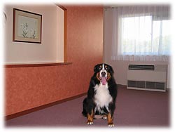 �e�K�̃G���x�[�^�[�O�����K�ł��B